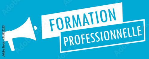 Formation Professionnelle