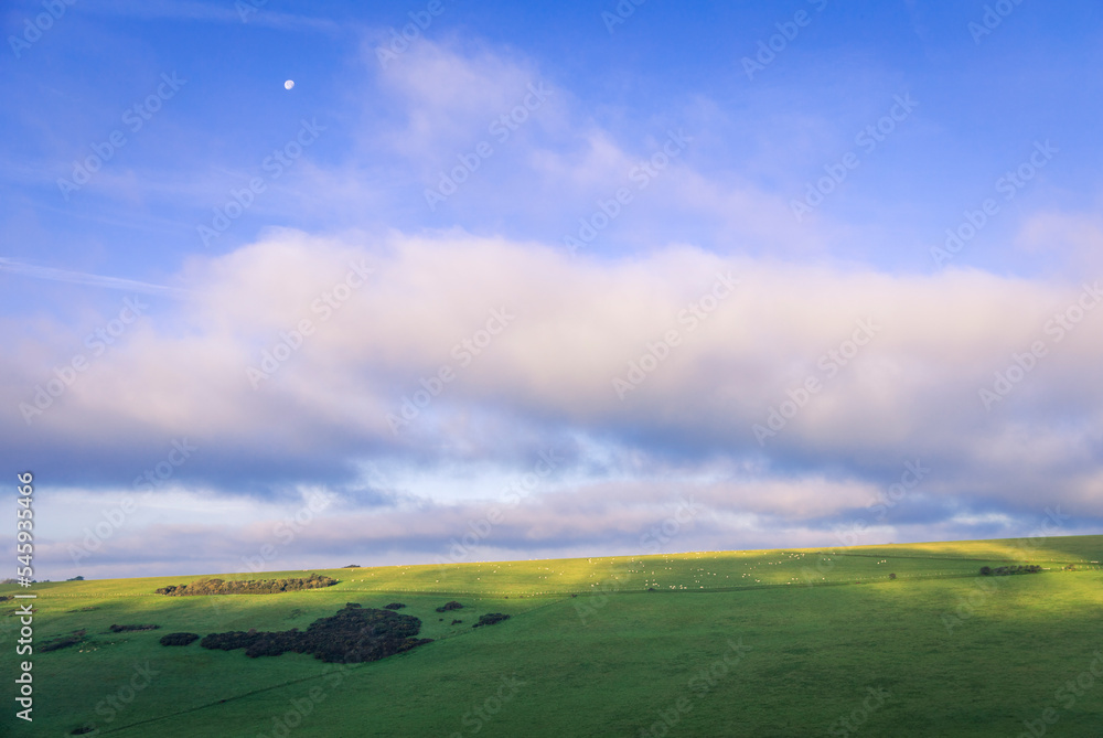 Fototapeta premium Bright sunny November morning on Pea Down near East Dean South Downs East Sussex