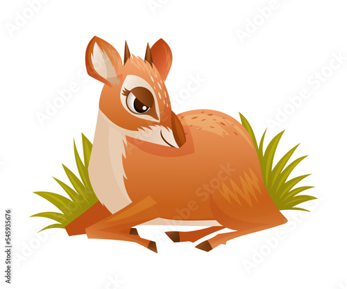 Brown Dik-dik as African Small Antelope with Horns Sitting in Green Grass Vector Illustration