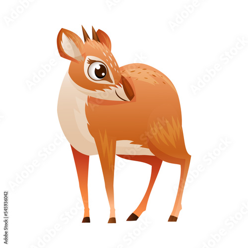 Standing Brown Dik-dik as African Small Antelope with Horns Vector Illustration