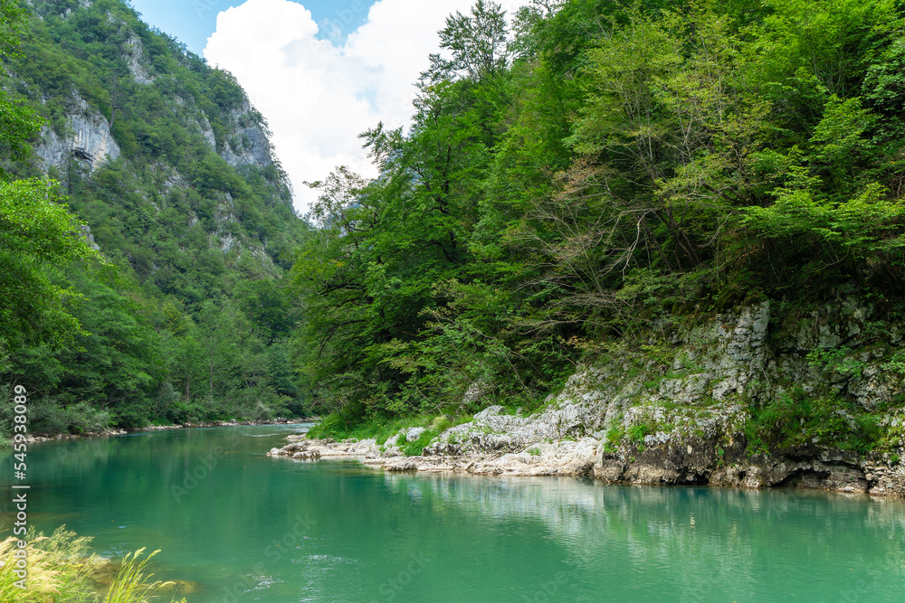 Mountain river Tara and canyon, Montenegro, natural landscape. Rivers of Europe
