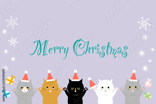 Cat Christmas 