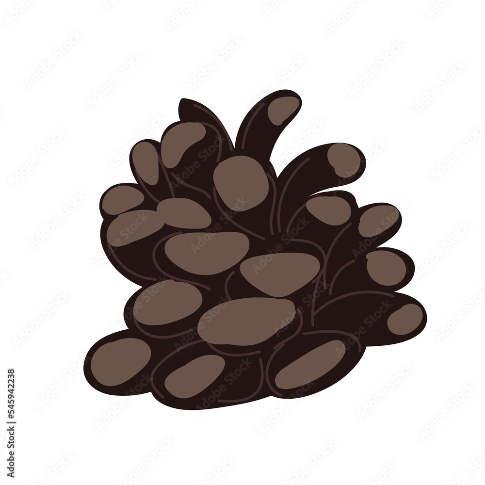 Pine Pinecone tree quality vector illustration cut Pine Pinecone tree quality vector illustration cut