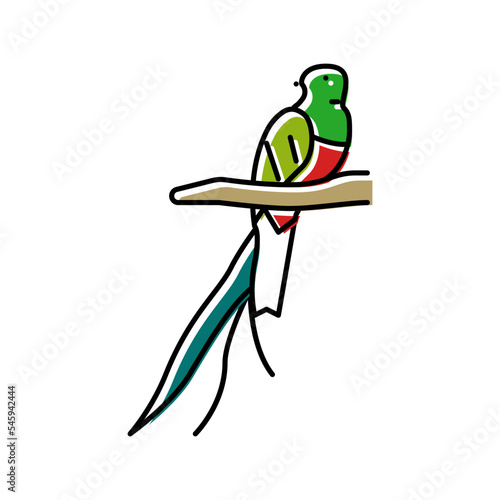 quetzal bird exotic color icon vector illustration