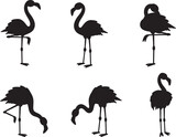 Flamingo Collections isolated vector Silhouette 