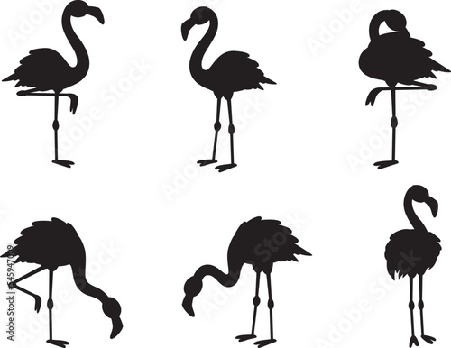 Flamingo Collections isolated vector Silhouette  © Design Stock