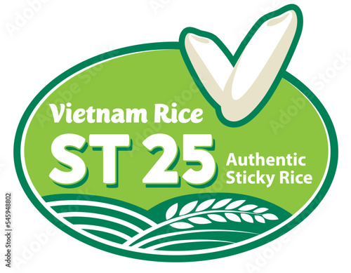 Vietnam ST25 rice concept.Paddy rice premium organic. Rice grain logo vector