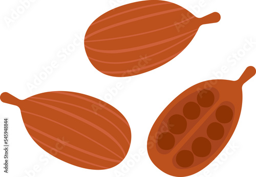 Cardamon pods flat icon Spices for mulled wine Ingredient