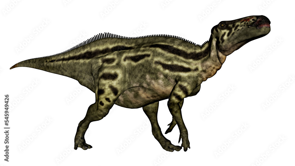 Shantungosaurus dinosaur - 3D render Shantungosaurus dinosaur - 3D render