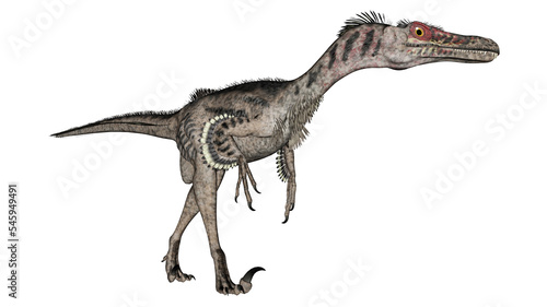Velociraptor dinosaur - 3D render © Elenarts