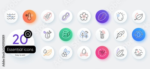 Simple set of Peanut, Pecan nut and Wind energy line icons. Include Leaf dew, Christmas holly, Vitamin e icons. Thermometer, Water splash, Waves web elements. Feather, Cold-pressed oil. Vector