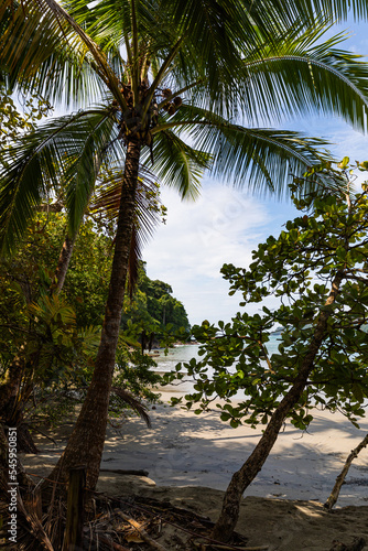 Beach on the coast of the Pacific Ocean in Costa Rica. Manuel Antonio Park