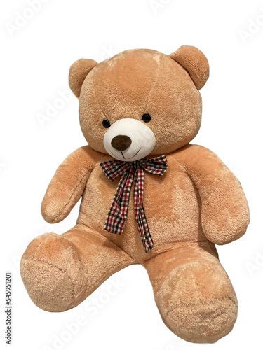 teddy bear on white