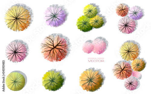 Vector watercolor blooming flower tree or forest top view isolated on white background for landscape and architecture drawing,elements for environment and garden,botanical for plan in autumn