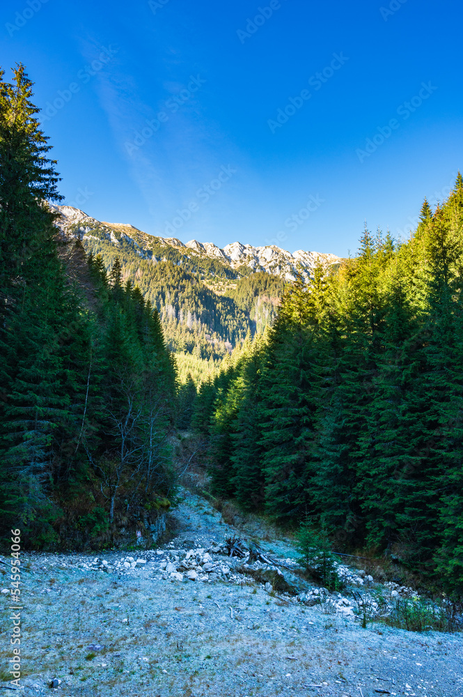 Blick auf die Gipfel in der Piatra Craiului in Rumänien