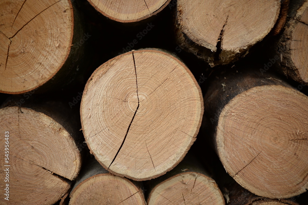 rown logs, firewood for home heating in winter, pine, oak logs, wood, heating in winter, without gas and electricity, preparation for winter to keep warm in winter, even firewood cut and stacked symm rown logs, firewood for home heating in winter, pine, oak logs, wood, heating in winter, without gas and electricity, preparation for winter to keep warm in winter, even firewood cut and stacked symm