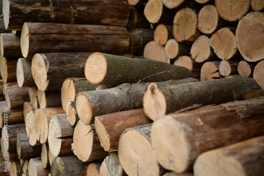 brown logs, firewood for home heating in winter, pine, oak logs, wood, heating in winter, without gas and electricity, preparation for winter to keep warm in winter, even firewood cut and stacked symm brown logs, firewood for home heating in winter, pine, oak logs, wood, heating in winter, without gas and electricity, preparation for winter to keep warm in winter, even firewood cut and stacked symm