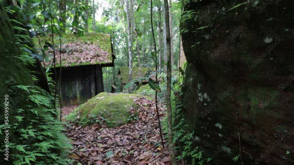 Green fern leaves on dark stone and green fern with moss growing through stones in Thought Battle Historical Site, Thailand Green fern leaves on dark stone and green fern with moss growing through stones in Thought Battle Historical Site, Thailand