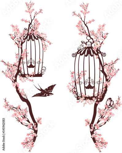 Fotografie, Tablou open birdcage and flying swallow bird among blooming sakura tree branches - spri