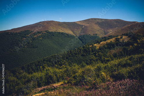 Beautiful mountain landscape during the day. Carpathians, Ukraine. Image for your creativity, design or illustrations.