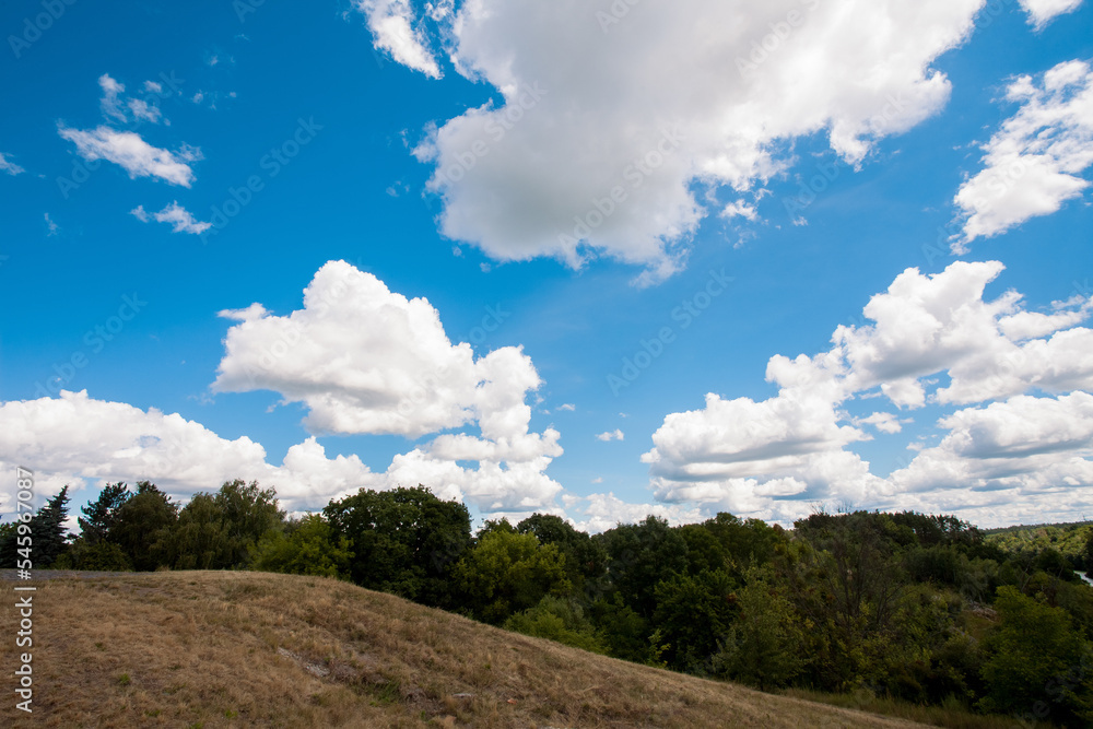 Bright daytime summer landscape, tree branches, blue sky with white large clouds, as a background for your design or illustrations. Bright daytime summer landscape, tree branches, blue sky with white large clouds, as a background for your design or illustrations.
