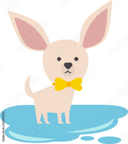 Small chihuahua flat icon Dog bathe Cleaning