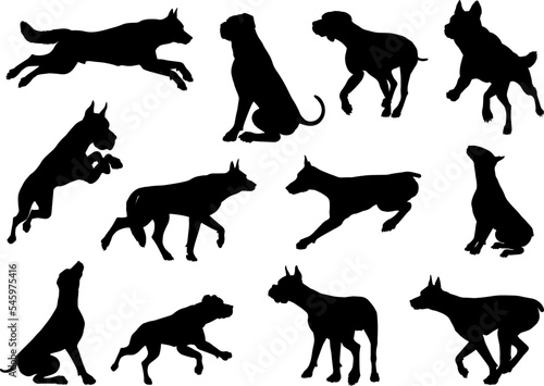 A set of detailed animal silhouettes of a pet dog