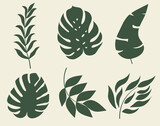 Set of vector silhouettes of bright tropical leaves. Isolated on a white background. Drawing sketches of leaves. Silhouettes of tropical leaves. Tropical palm leaves.