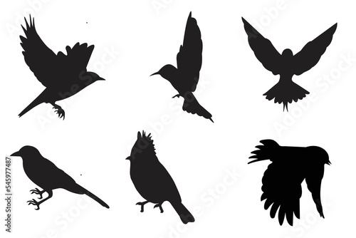 bird silhouettes  bird vectors  bird black
