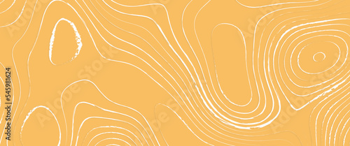Topographic map, geographic mountain relief. abstract concept graphic element and geography scheme, topographic map and landscape terrain texture grid., abstract colorful topography vector background.