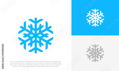 snowflakes logo design vector