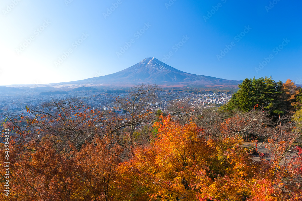 山梨県富士吉田市 秋の新倉山浅間公園から見る富士山