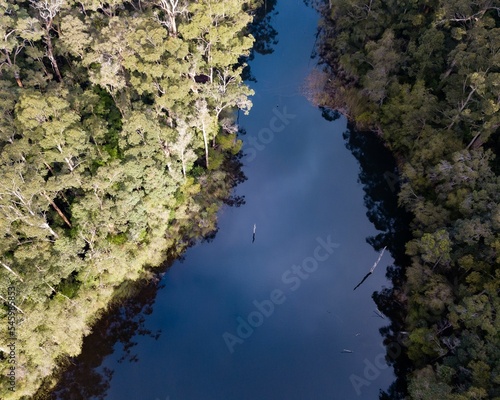 Aerial view of a river surrounded by trees in Karri Valley, Pemberton Western Australia photo