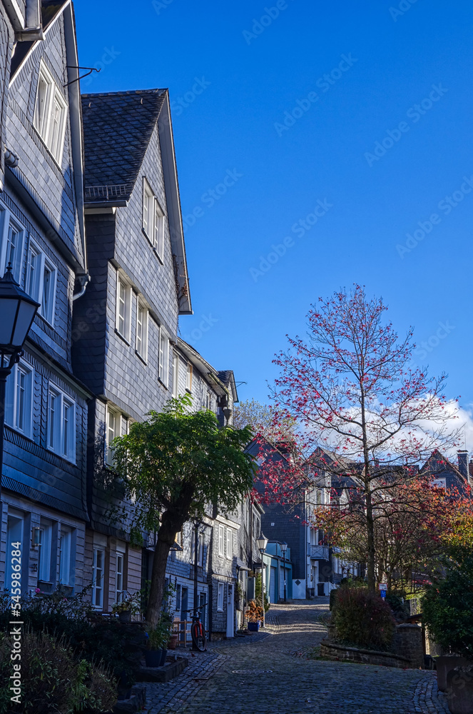 Fototapeta premium Straße mit historischen Häusern und Bäumen in der Altstadt von Siegen