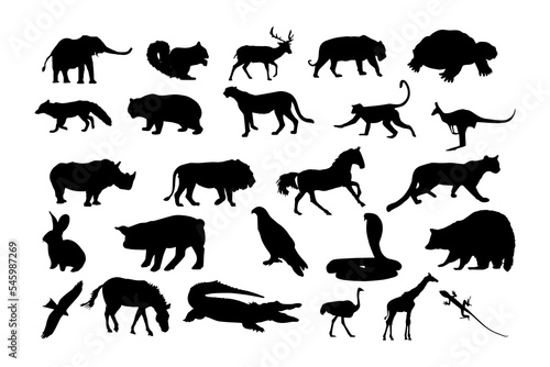 Collection of forest animal silhouettes on white background