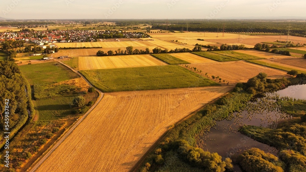 Rural landscape of agricultural planting and harvested fields at golden sunset in countryside