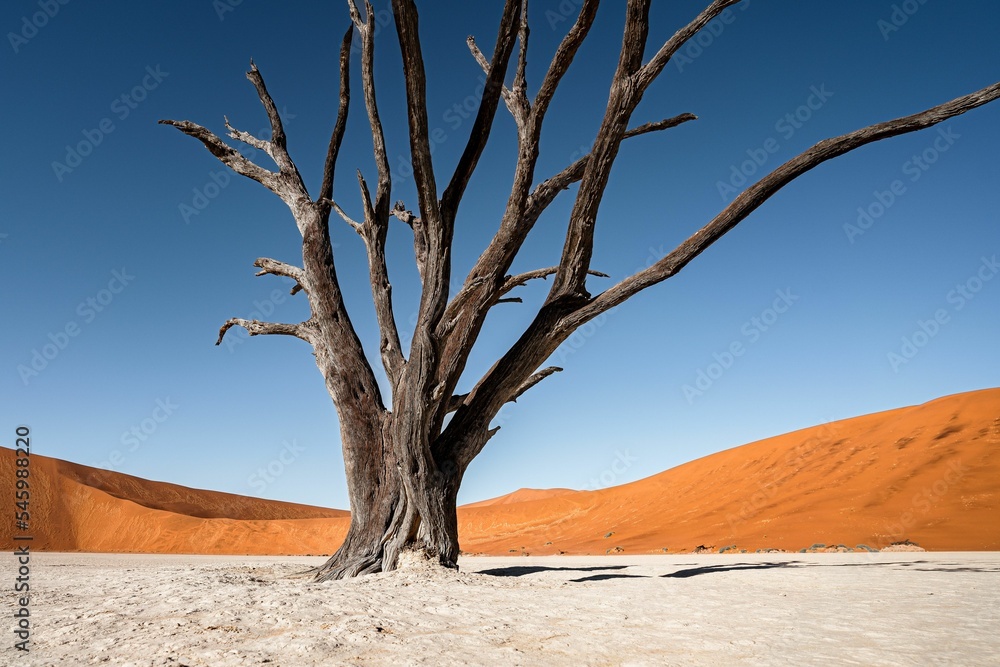 Scenic view of Namib-Naukluft National Park in Namibia, Africa on a sunny day Scenic view of Namib-Naukluft National Park in Namibia, Africa on a sunny day