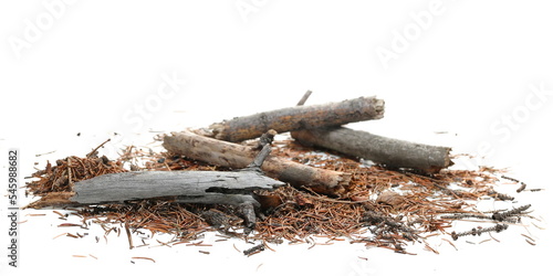 Dry, rotten pine tree branch and autumn conifer yellow leaves, needles foliage pile isolated on white