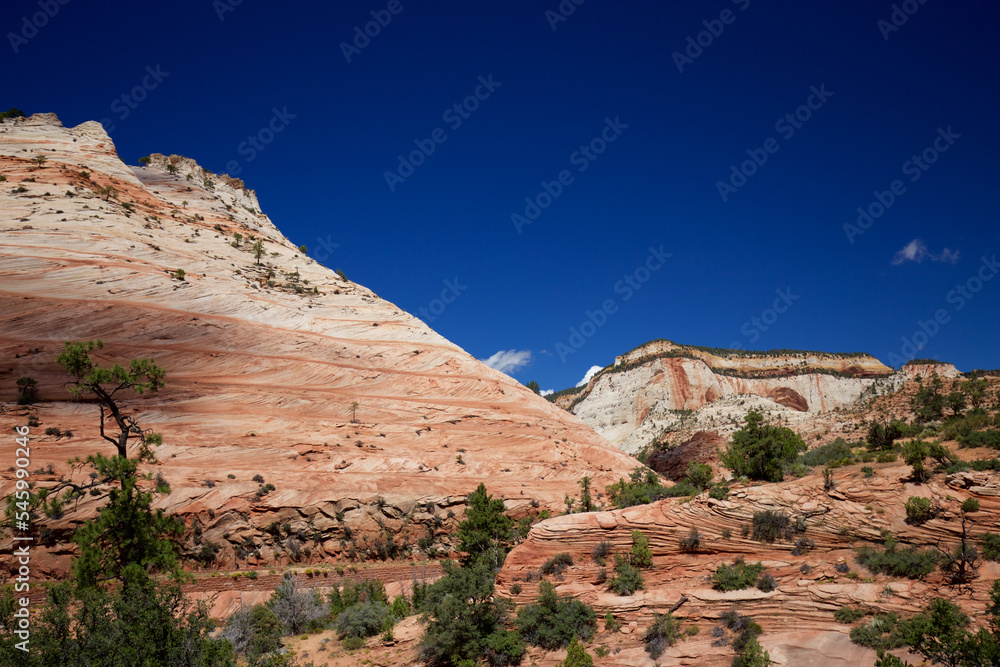 Fototapeta premium Rocky landscape in Zion National Park, USA