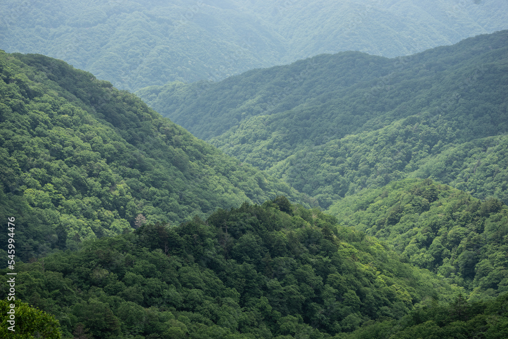 Fototapeta premium 山 空