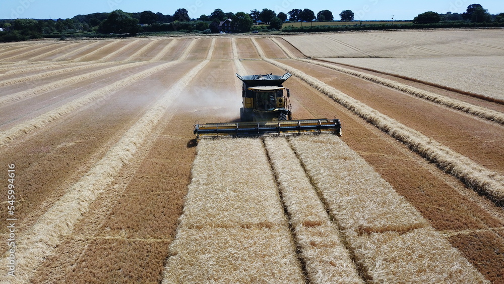 Combine harvester head on shot from drone , aerial .in English field of ...