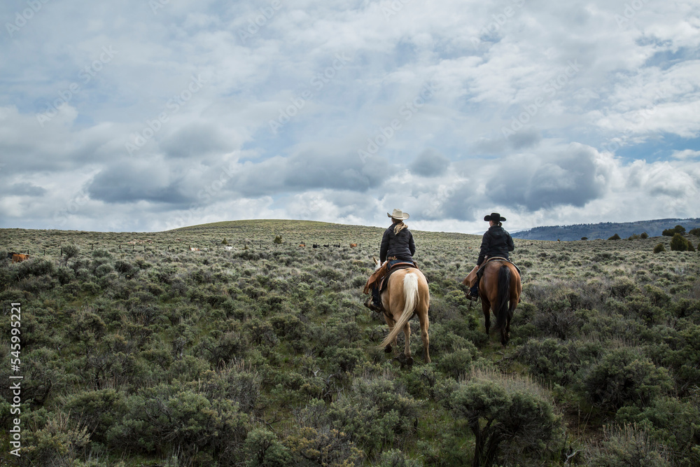 Cowgirl Ranchers Wyoming - obrazy, fototapety, plakaty 