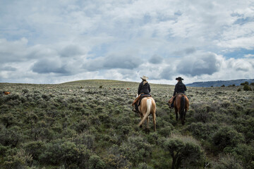 Leinwandbilder Khaki Cowgirl Ranchers Wyoming  © nick