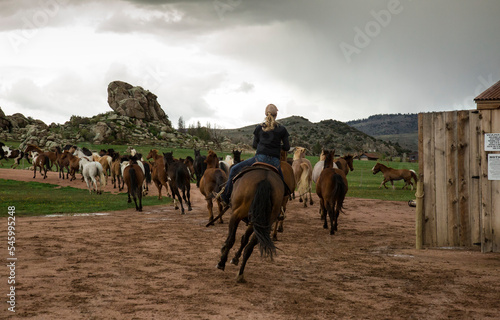 Cowgirl Riding Horses Wyoming