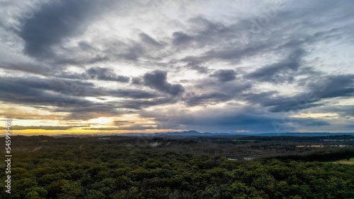 Scenic view of forest landscape near Port Macquarie in New South Wales, Australia during sunset