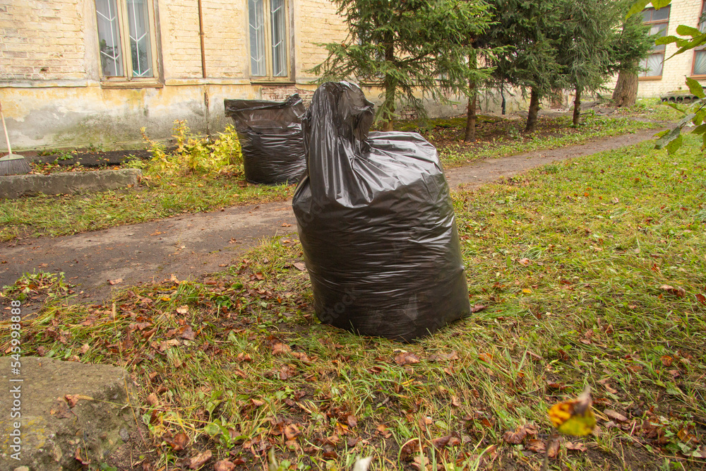large black bags of leaves stand in autumn in the yard large black bags of leaves stand in autumn in the yard