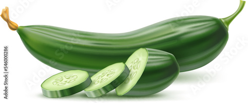 Realistic vegetable. 3D agriculture food. Fresh farm product. Whole and sliced cucumber. Salad ingredient. Circle cut pieces. Healthy diet nutrition. Ripe harvest. Vector plant crop