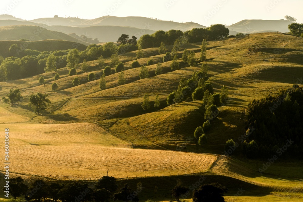 Obraz premium Beautiful shot of the Rolling hills in New Zealand on a sunny day