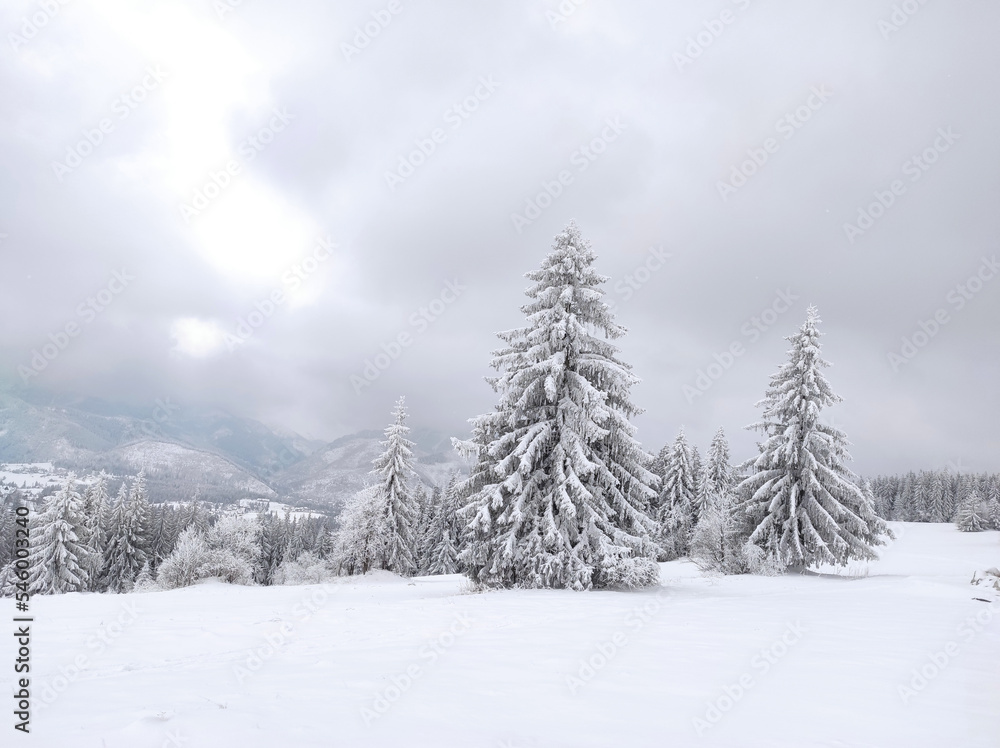 natural landscape with beautiful mountains and sky. magical winter forest.