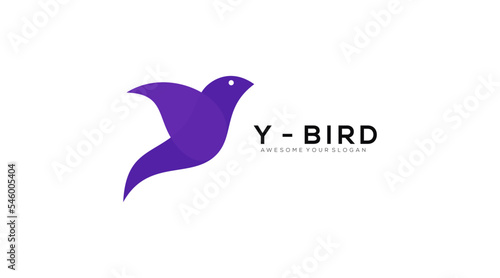 Letter y bird vector logo design template